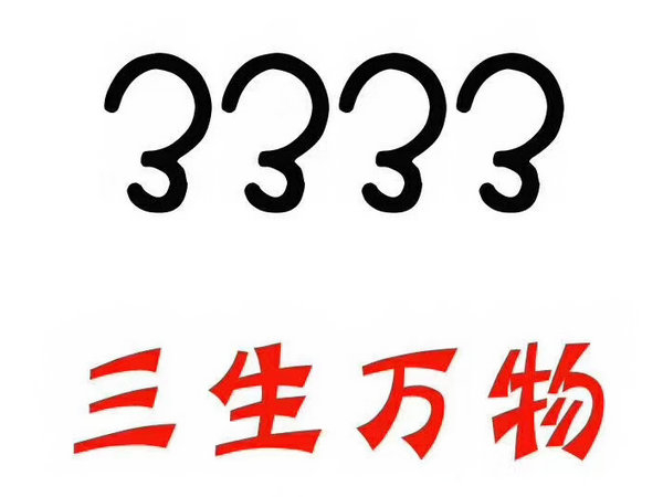 定陶尾号333吉祥号