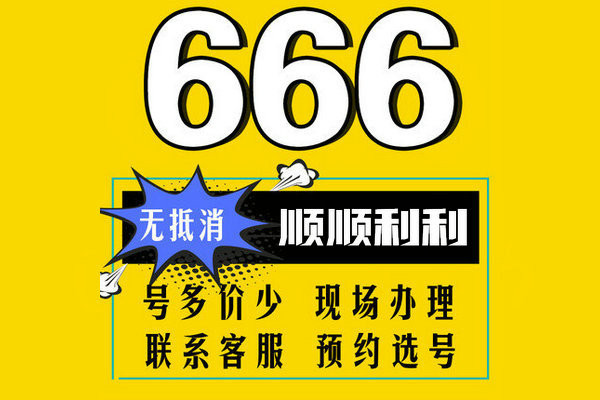 单县尾号666吉祥号